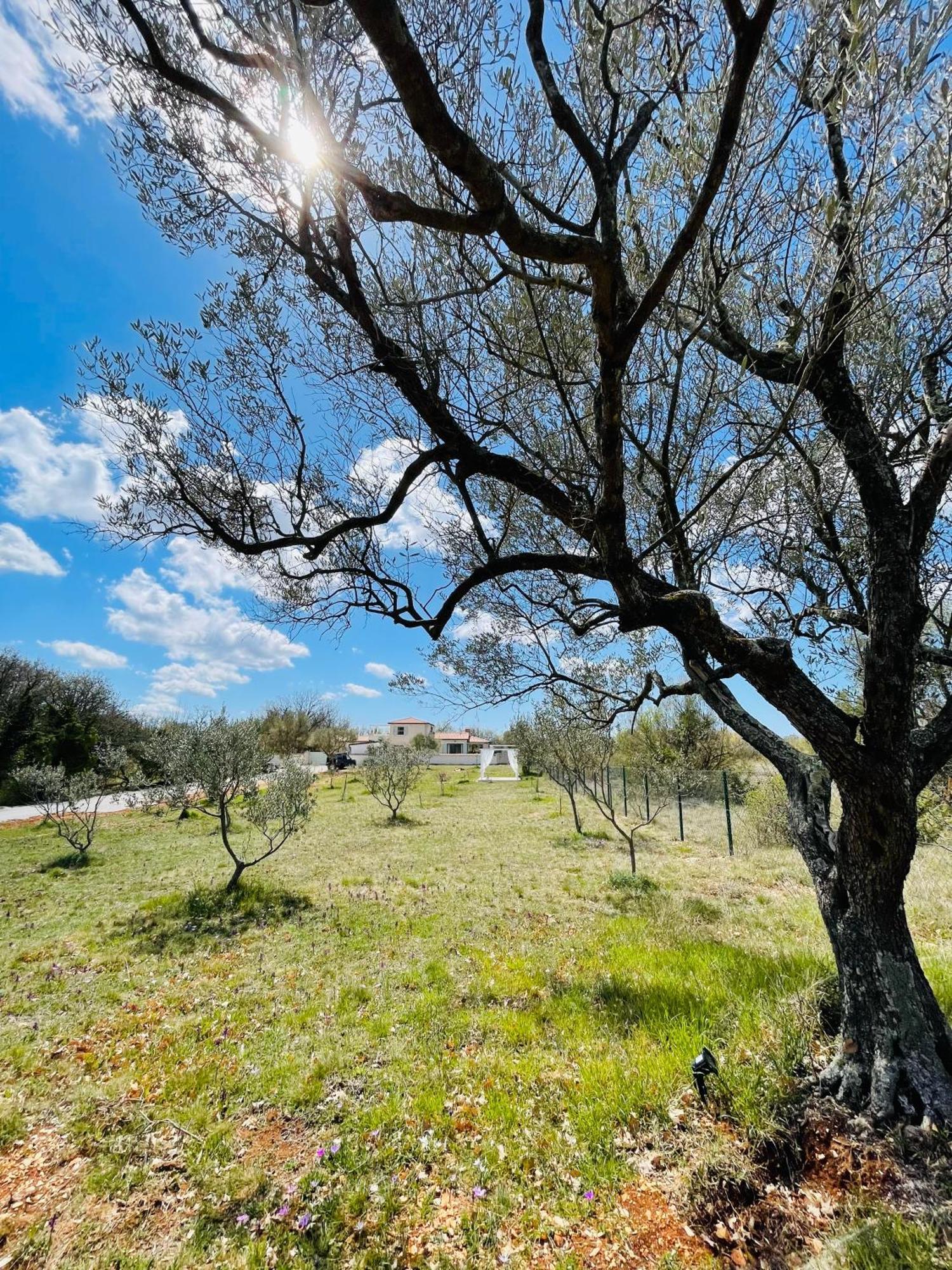 Luxury Villa In Istria - 9,000 Sqm Private Estate With Pool & Sauna, 15 Min To Sea, Near Fazana, 3 Bedrooms Jursici Ngoại thất bức ảnh
